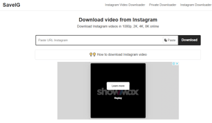 Instagram Video Downloader Online