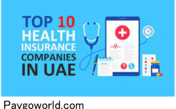 Top 10 Life Insurance Companies in UAE 2023